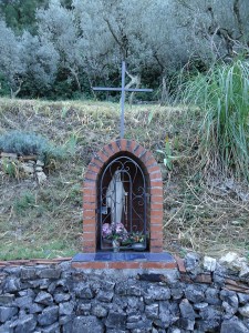 129 - Terni strada delle Marmore proprietà Ideale Piantoni